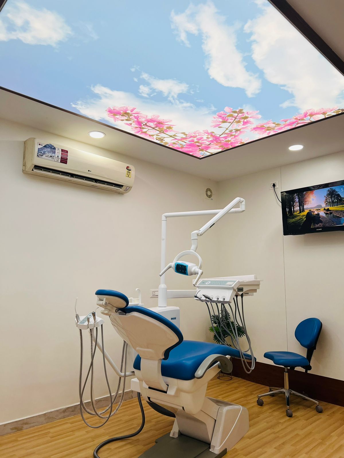 Paediatric Dentist in JP Nagar | Dentistry Junior