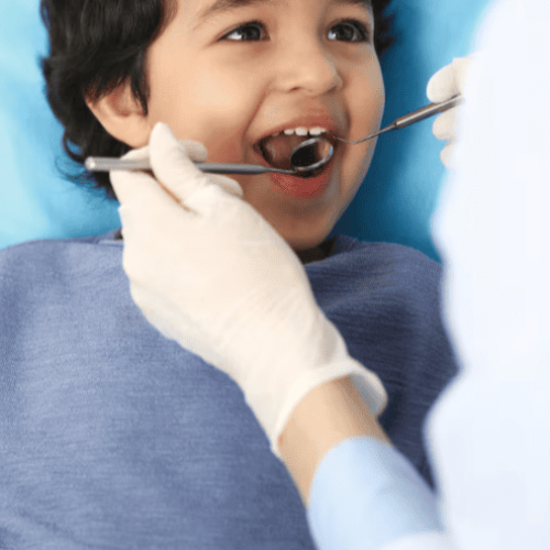 Screenshot 2025-09-27 at 12.27.56